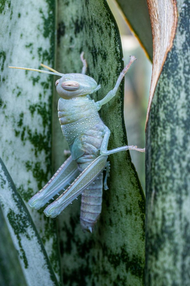 Photograph by Игорь Калинин