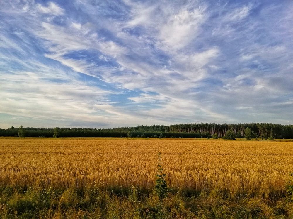 Photograph by Anna Makukhina
