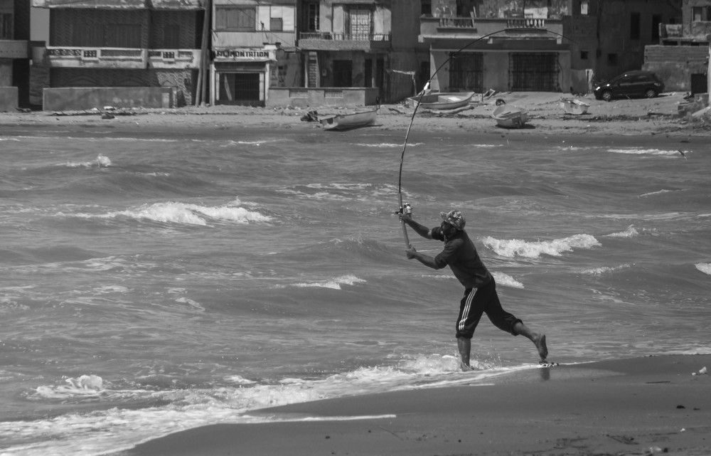 Photograph by Ali RAHILA