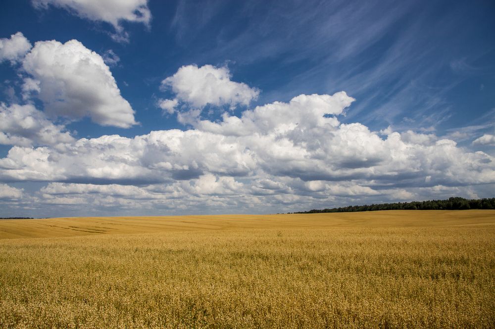 Июльский зной - 7