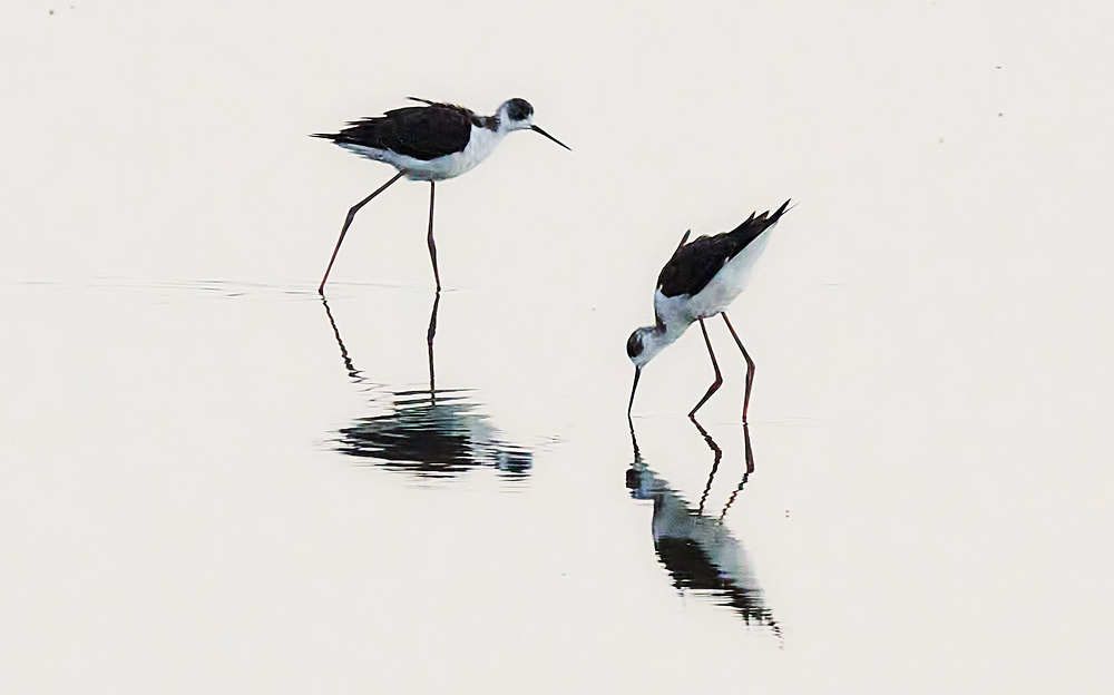 Photograph by Victor Krachkovsky