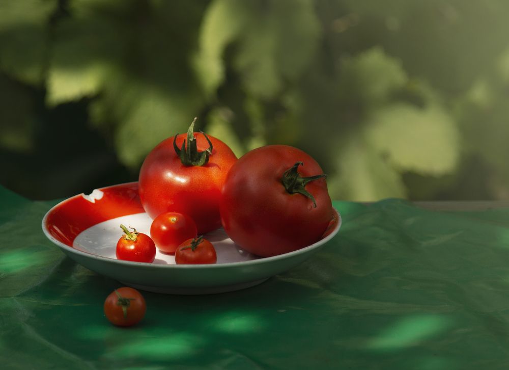 Оранжевое лето