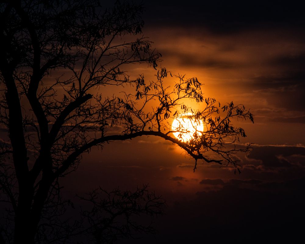 Photograph by Давид Галкин