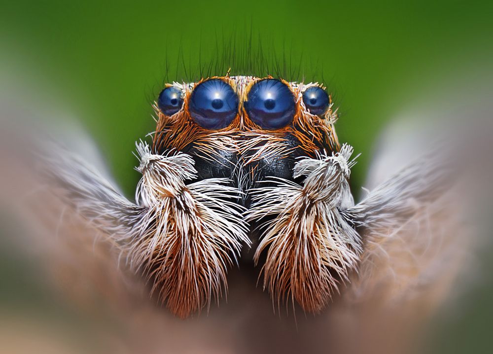 Photograph by Eduardo Modolo