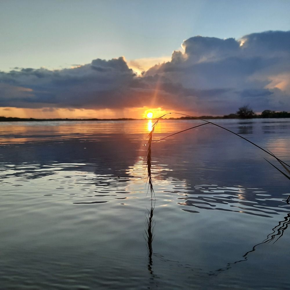 Photograph by Евгений Кузилин