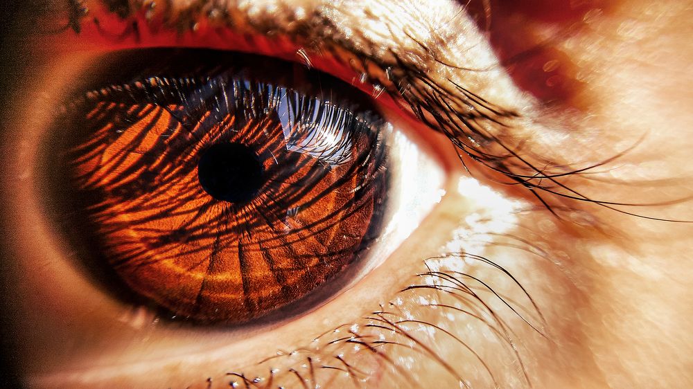 Photograph by Fabricio Bento