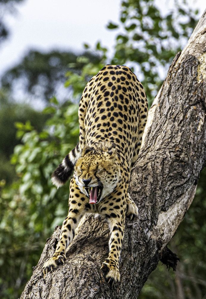 Photograph by Rosemary Richards