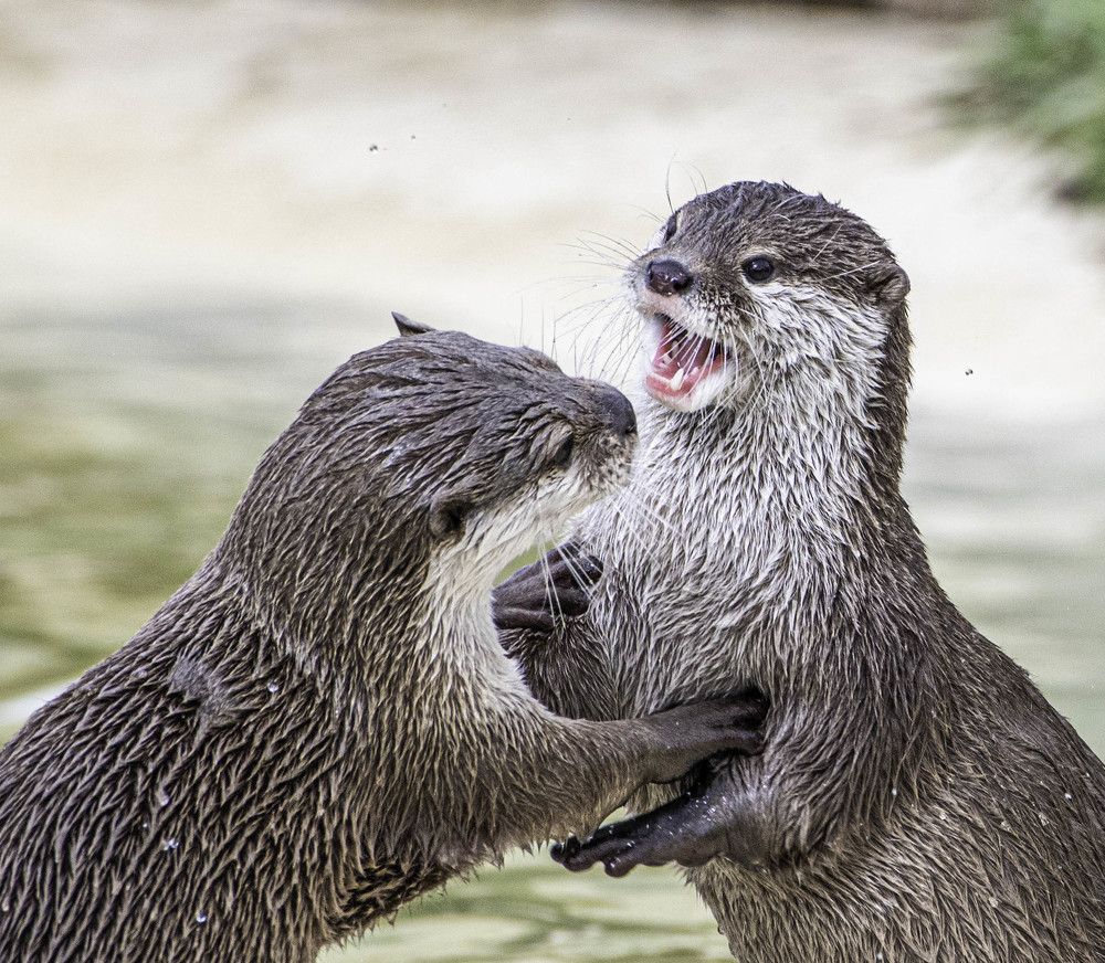 Photograph by Rosemary Richards