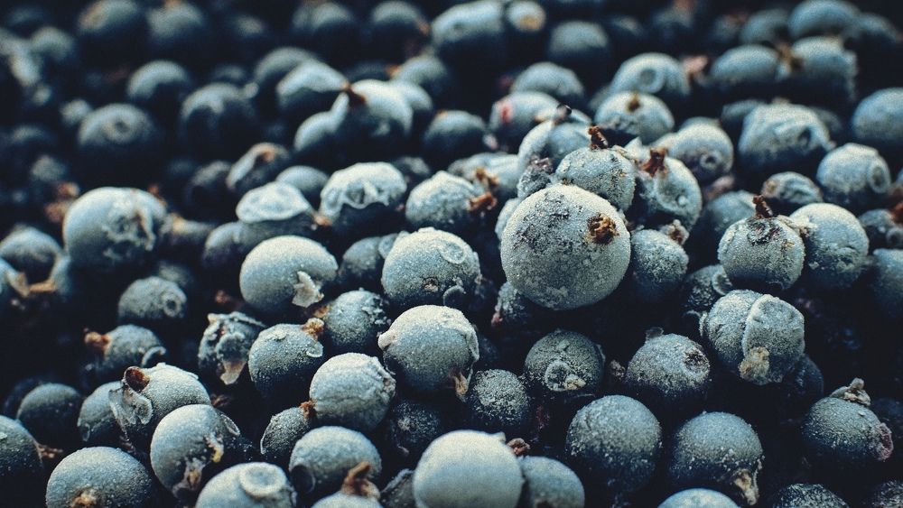 Photograph by Дмитрий Герасимов