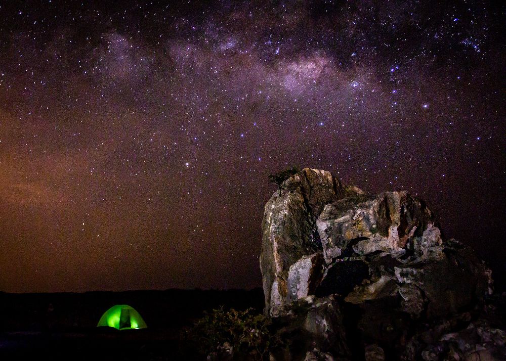 Photograph by AMARDEEP SINGH