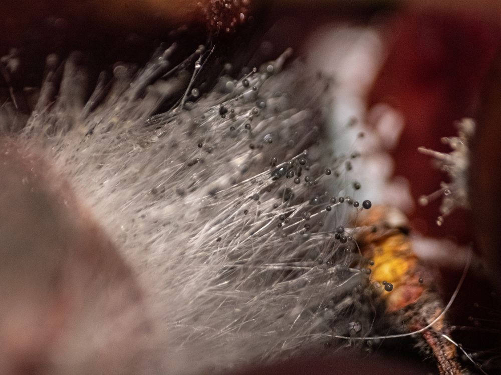 Photograph by Николай Тышкунов