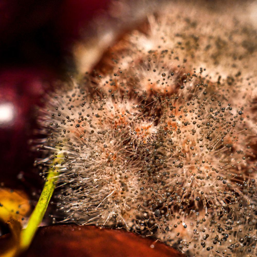 Photograph by Николай Тышкунов