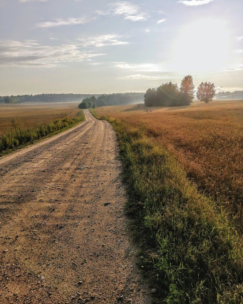 Photograph by Виктор Шубин