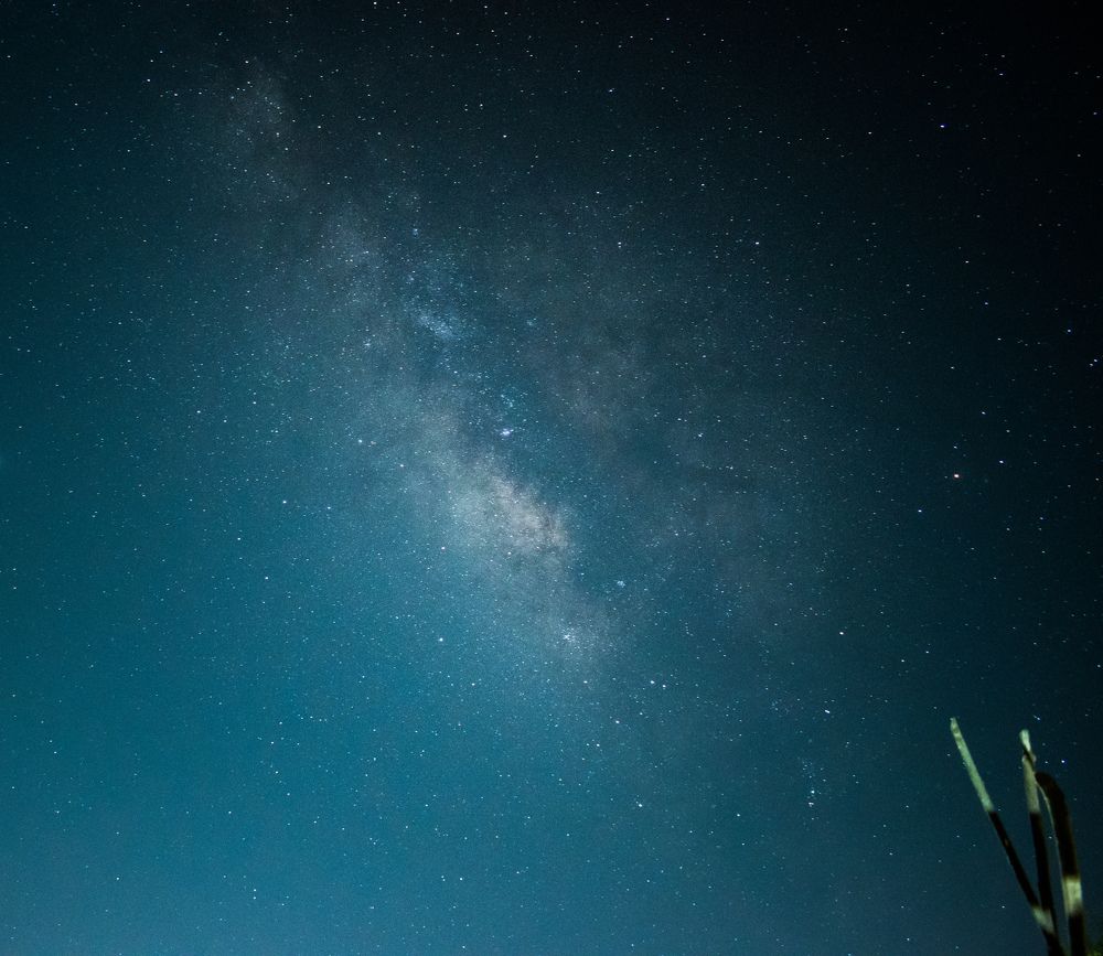 Photograph by Deep Patel