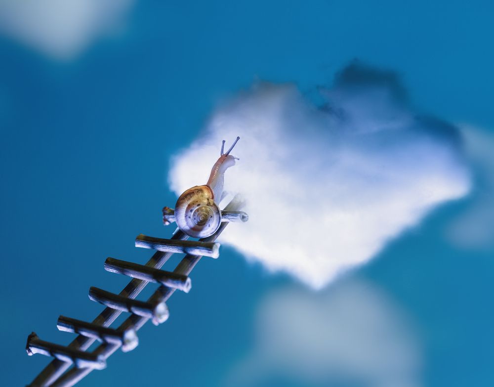 лестница в небо