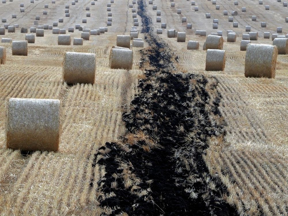 Photograph by Степанов Евгений