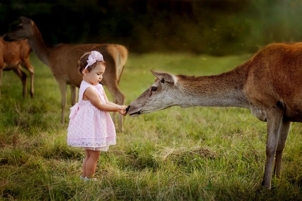 Photograph by Дарья Купчус