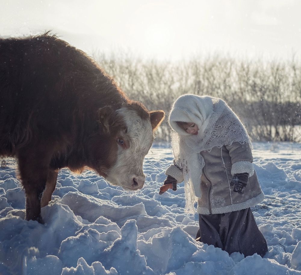 Photograph by Дарья Купчус