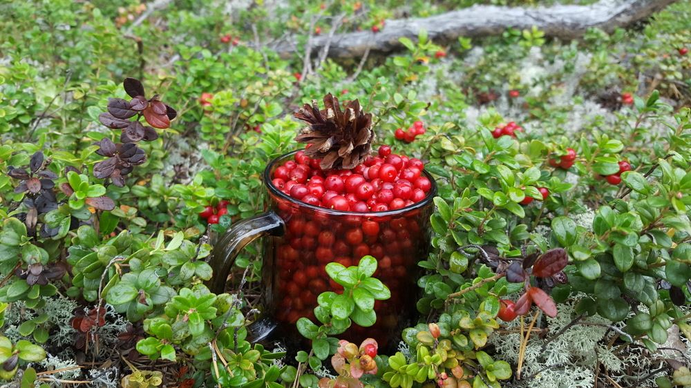 Photograph by Оля Маркова