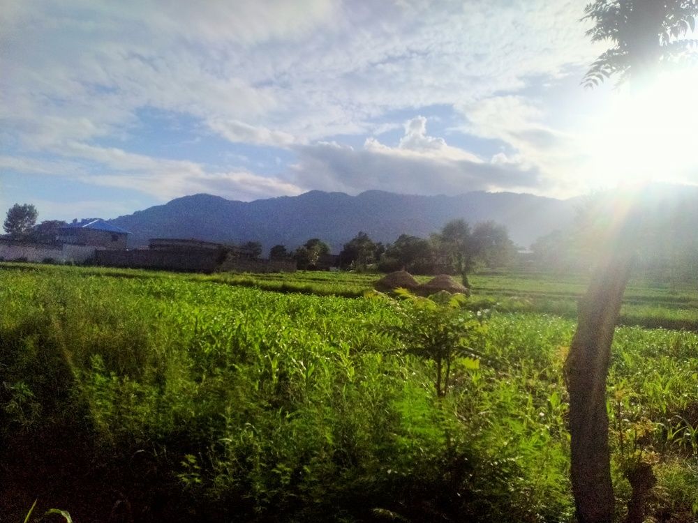 Photo #6374450