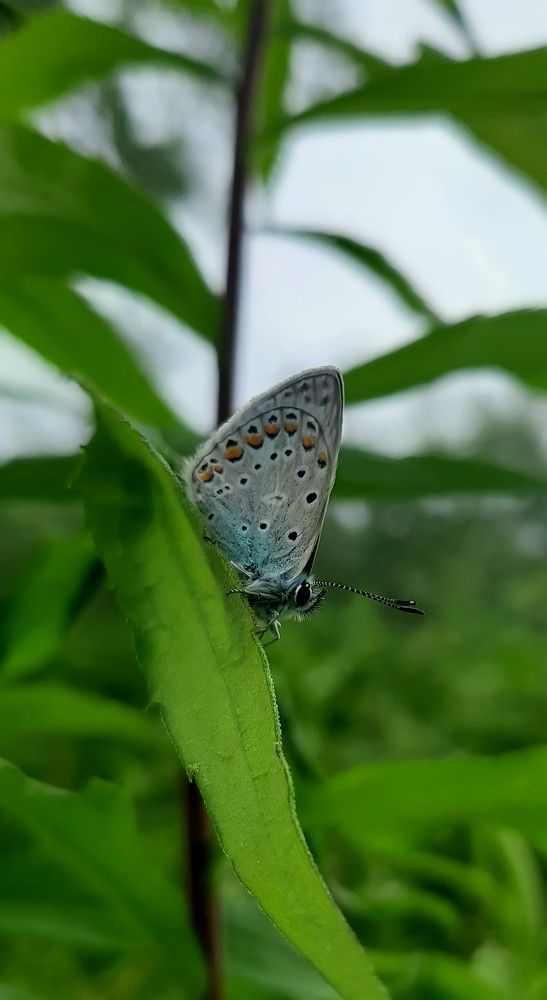 Photograph by Алёна Степанюк