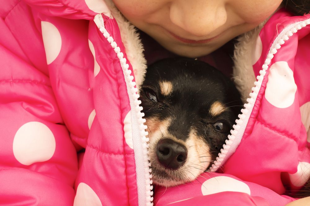 Photograph by Дарья Ващенко-Панкина