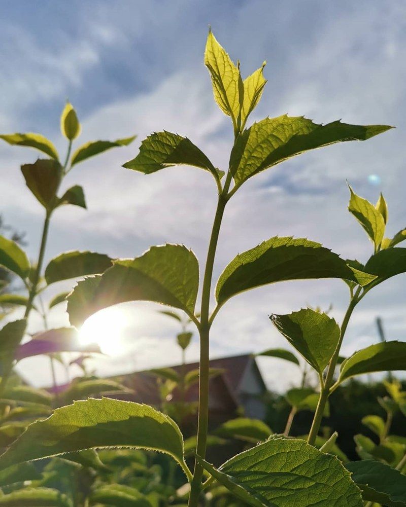 Photograph by Екатерина Шаройко