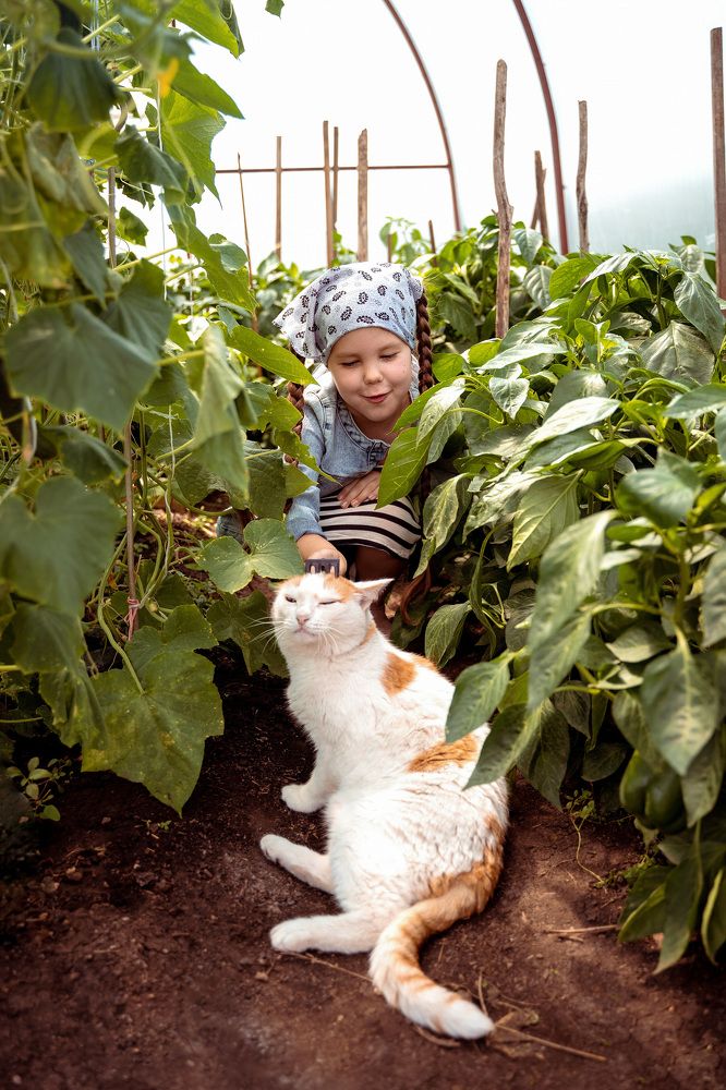 Photograph by Katerina Seneng