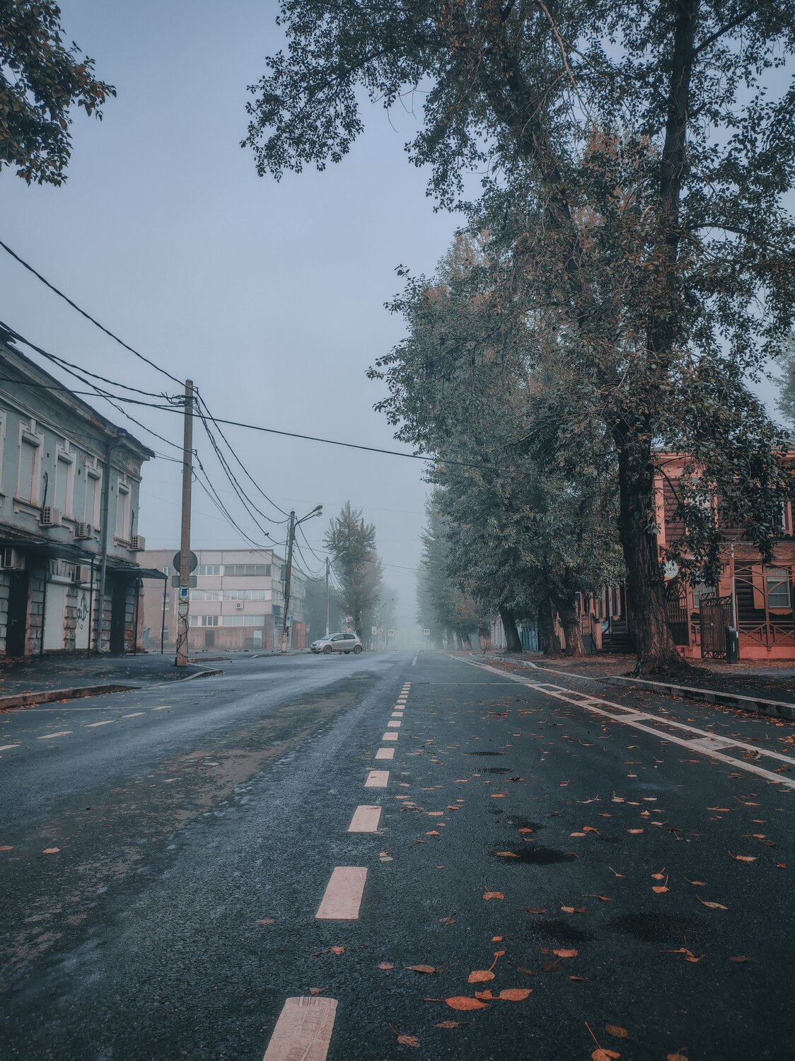 Photo #6374682