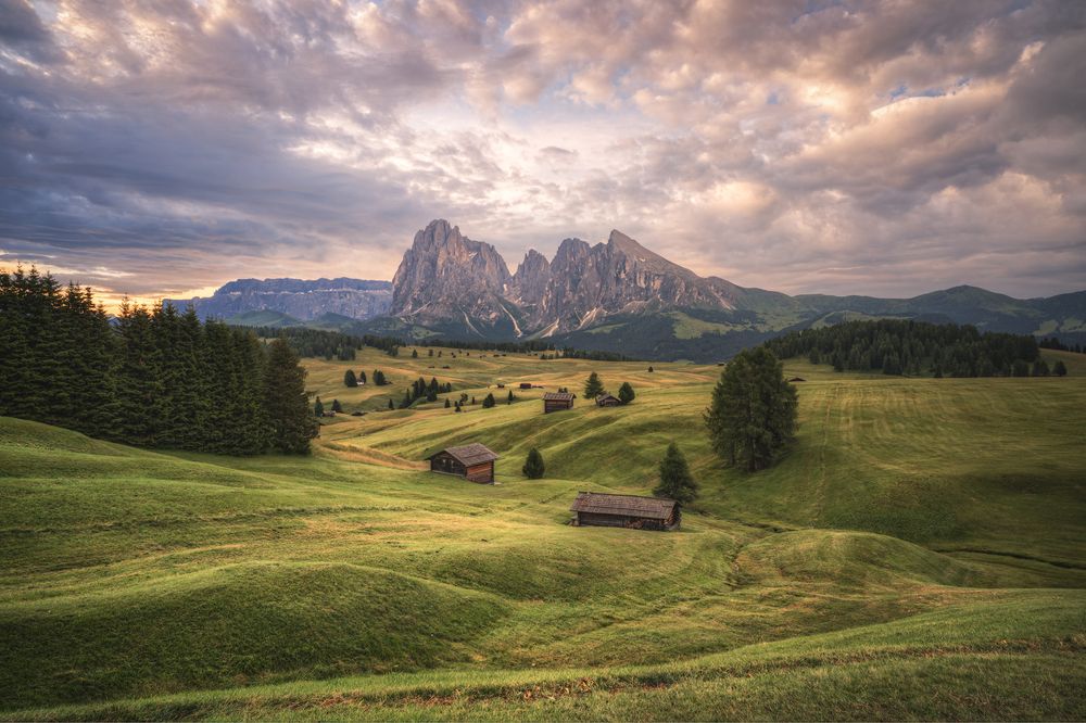 Photograph by Raffaele L\'Abbate