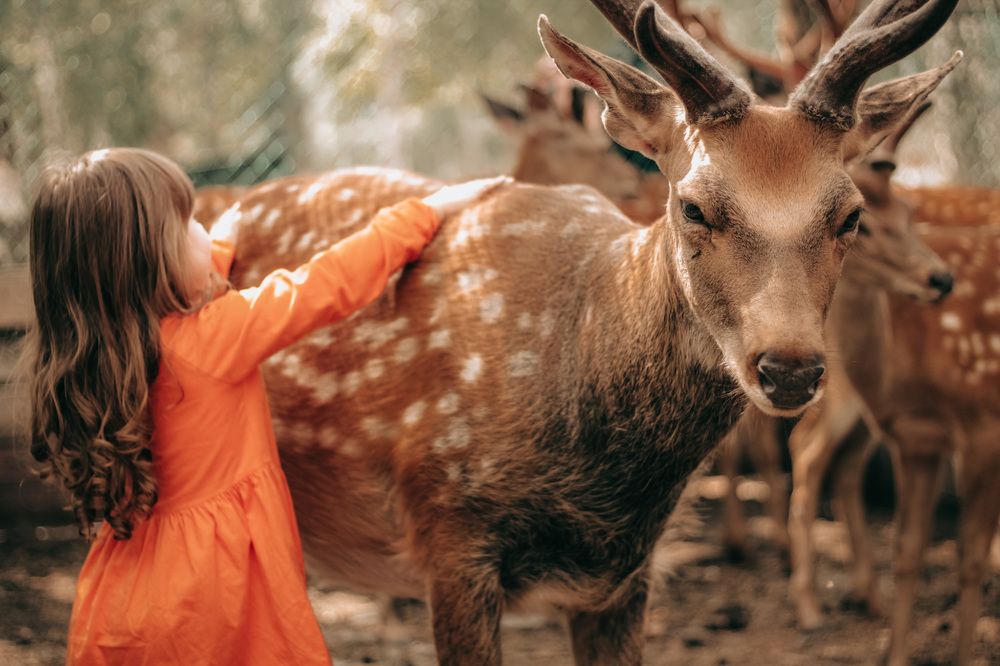 Photograph by Полина Гмызина