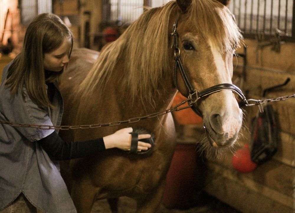 Photograph by Полина Гмызина