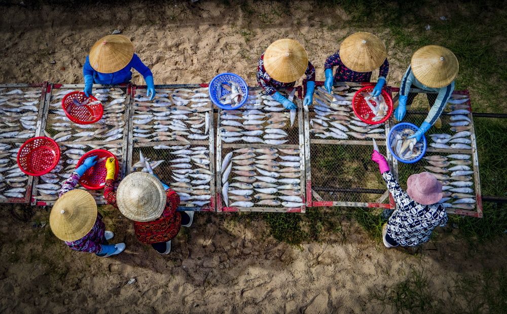 Phụ nữ miền biển