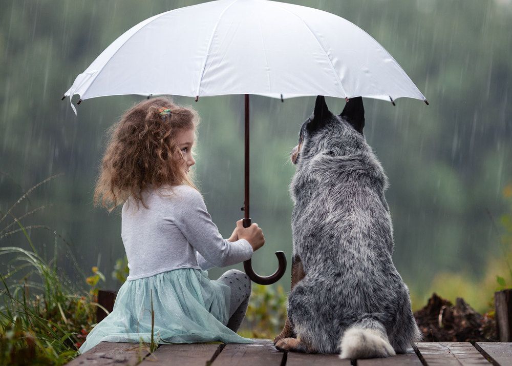 Photograph by Андрей Селиверстов