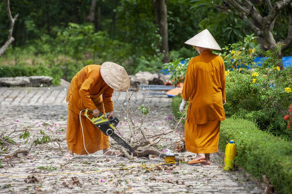 Công việc của các ni cô