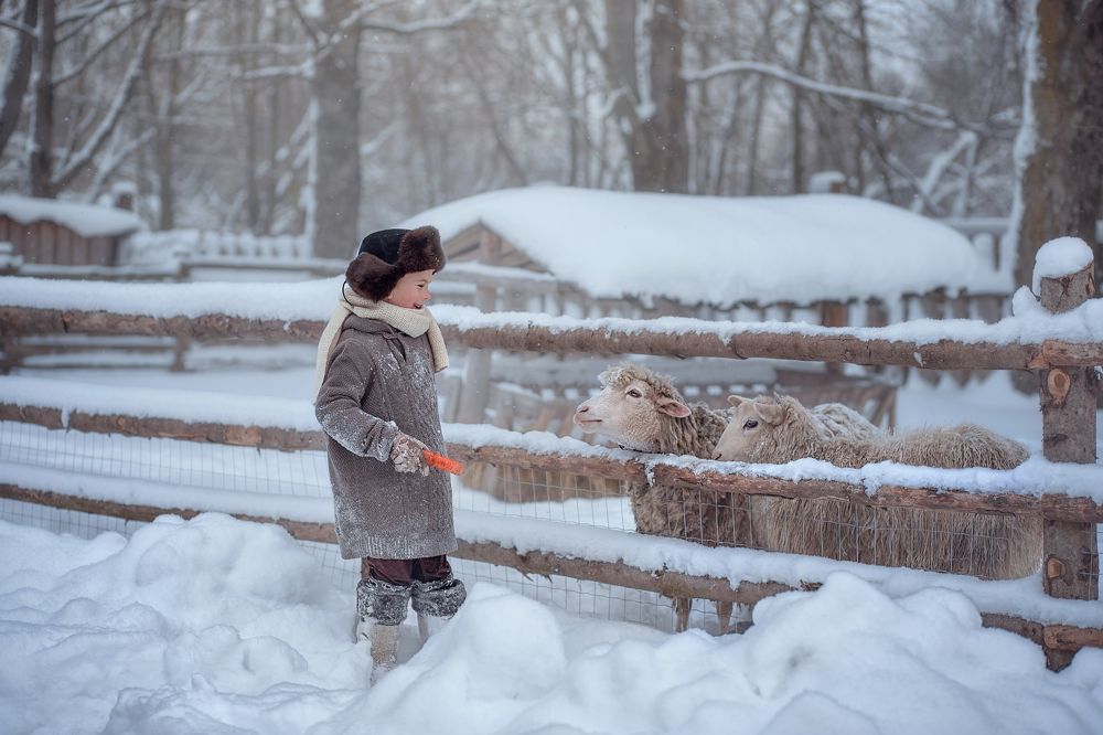Фотография автора Анна Балабан