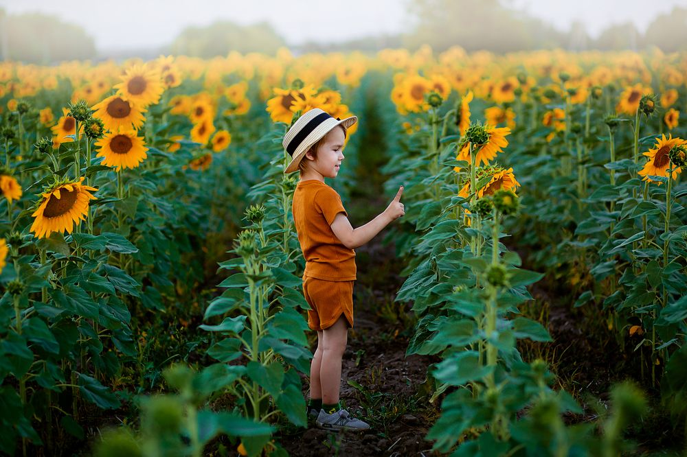 Photograph by Эля Булыгина