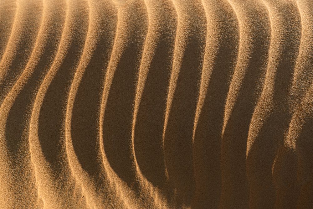 Photograph by Abdulqader AlAni