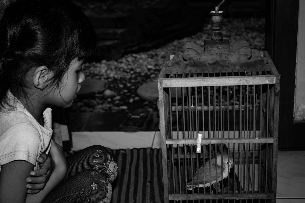 The little girl with little bird