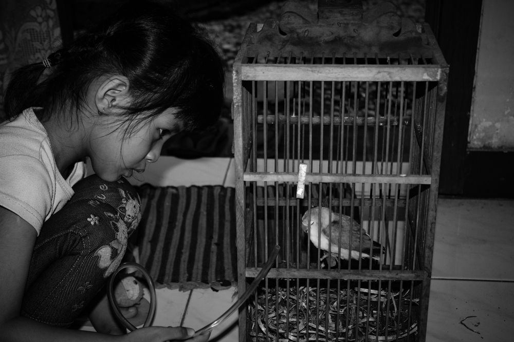 The little girl with little bird