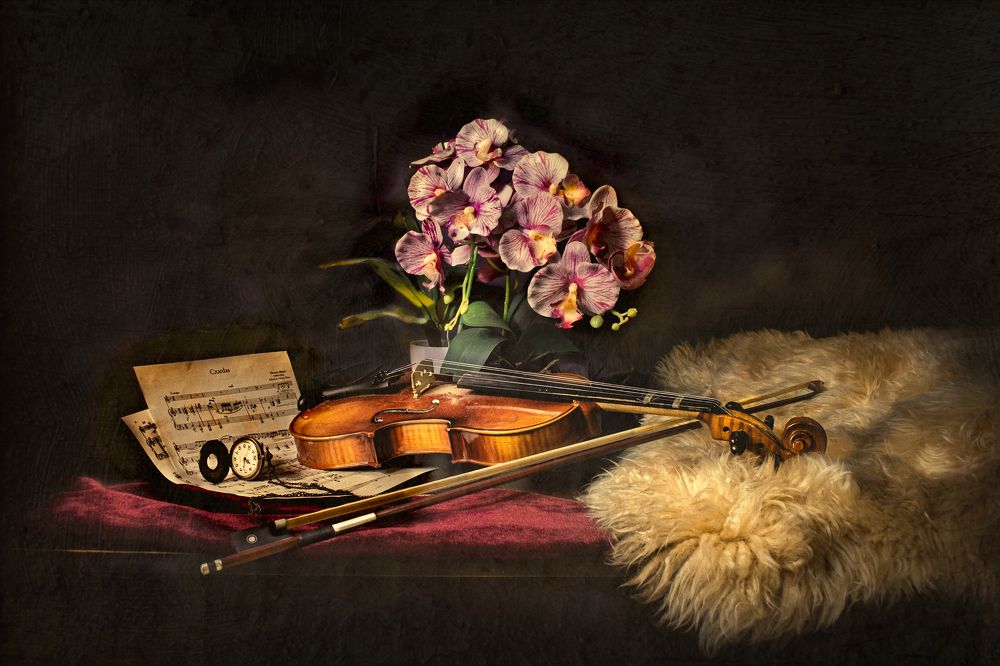 Photograph by Yi Xian Goh