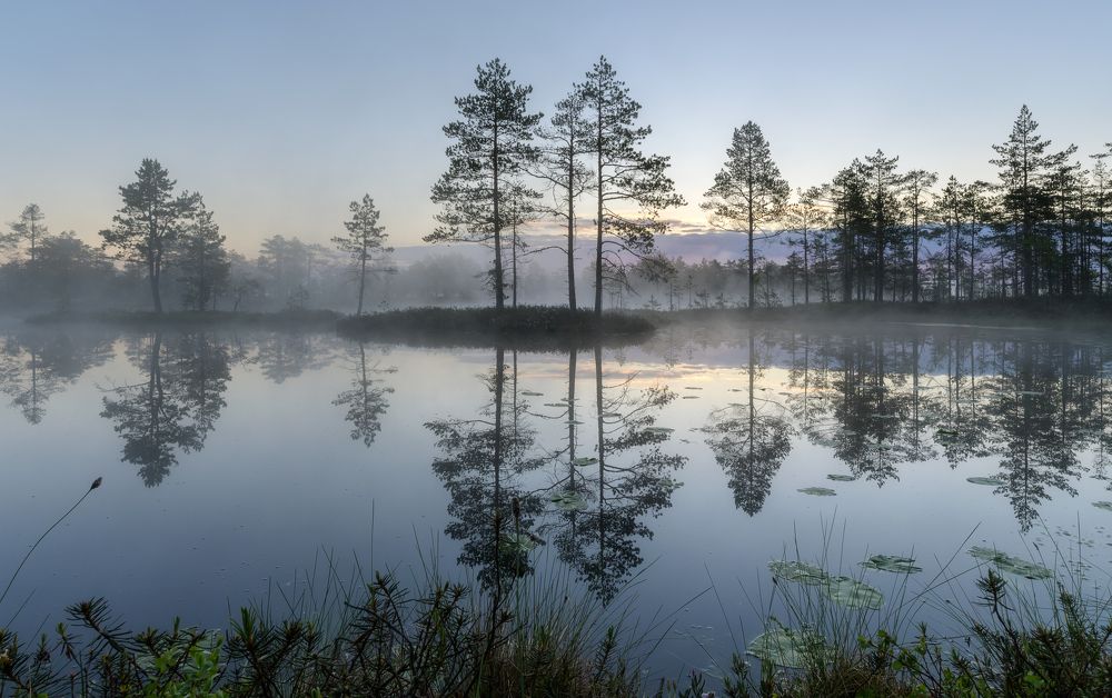 Photograph by Олег Иваницкий