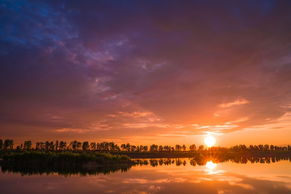 Фотография автора Дмитрий Романов