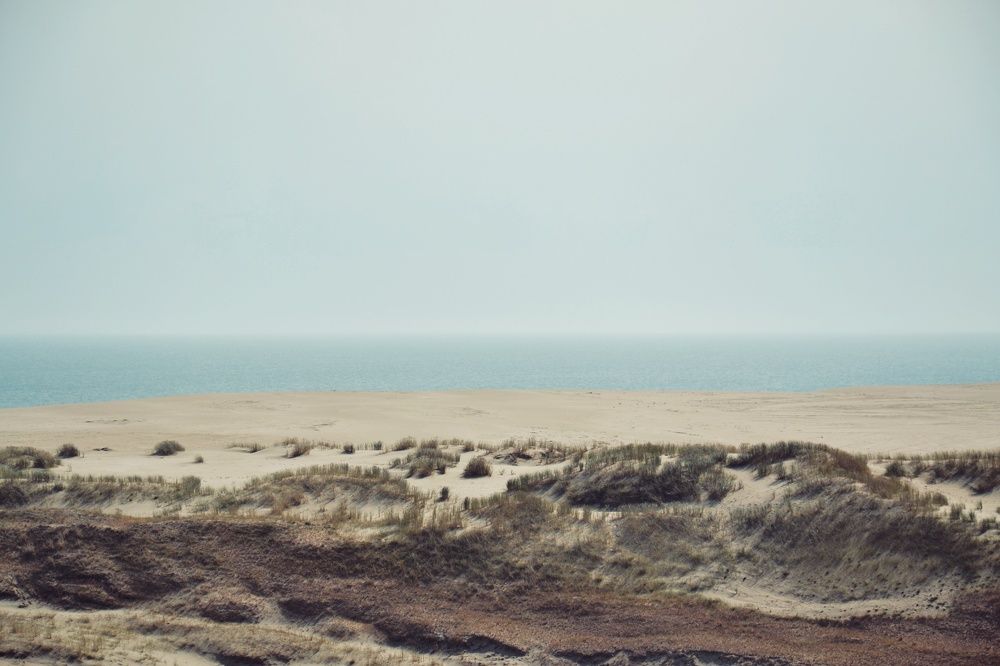 Photograph by Слесарь Анна