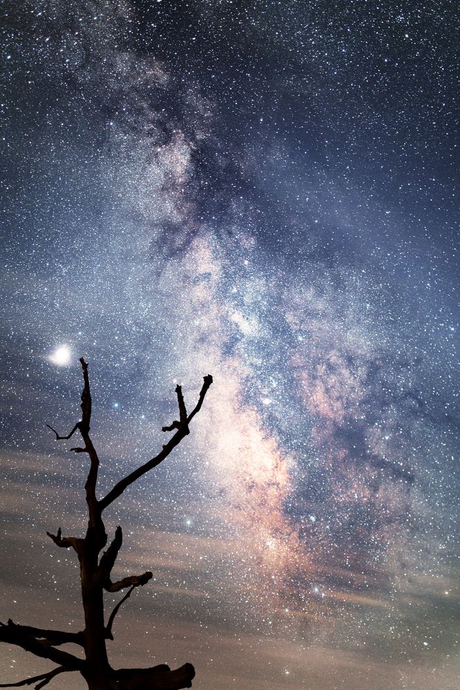 Photograph by Ethan Shaw
