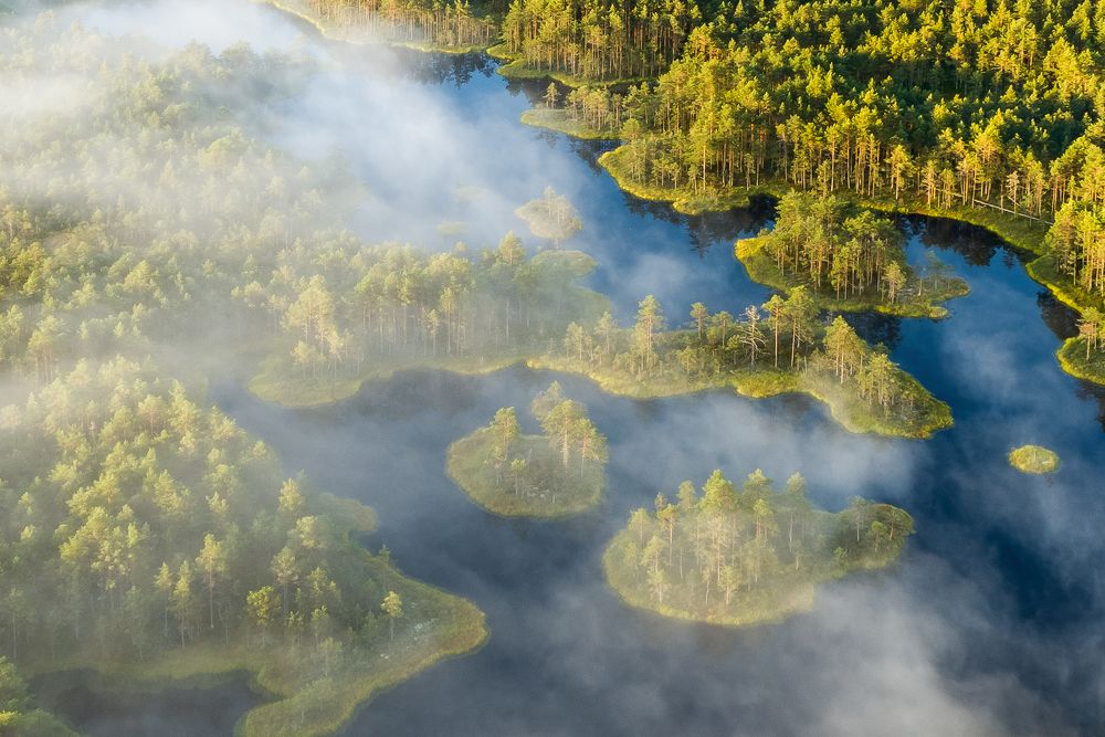 Breath of the swamp.