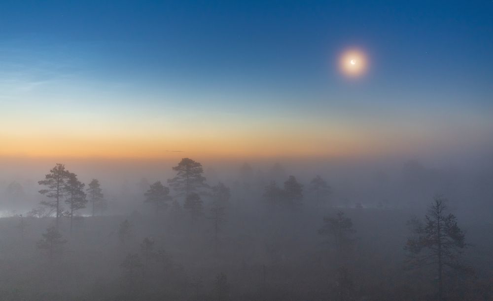 Photograph by Элвис Антсон