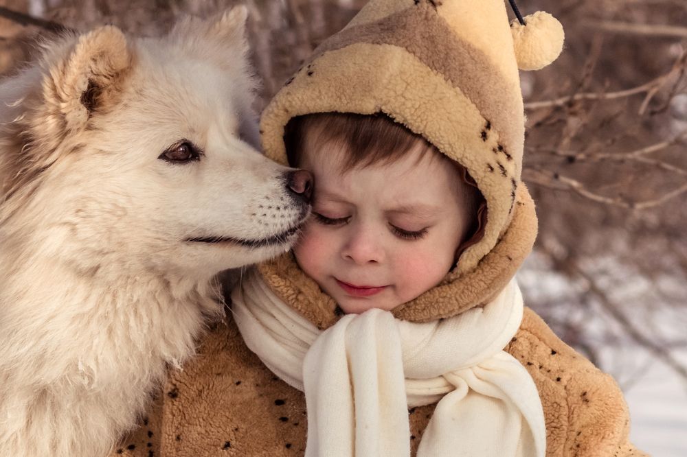 Photograph by Анна Лисина