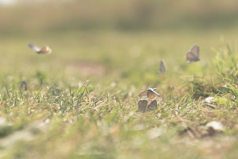 Photograph by Артем Полинин