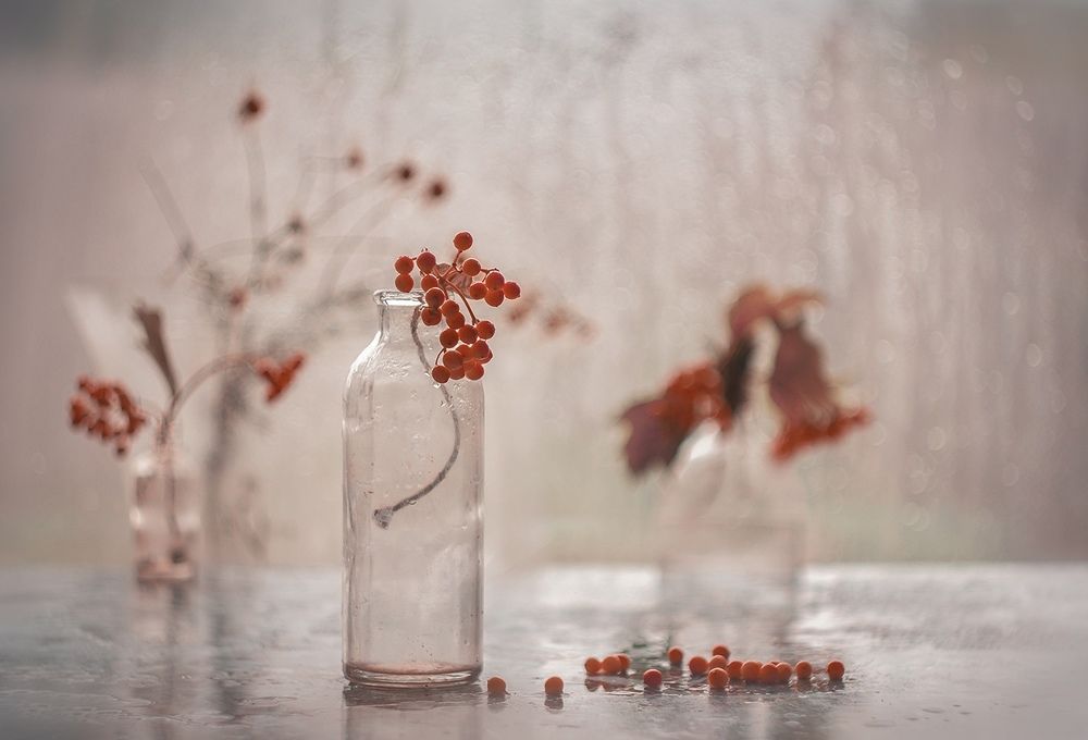 Photograph by Ольга Сидорова